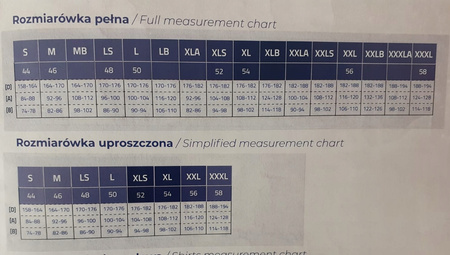 Ogrodniczki Kombinezon BHP Szary Neptun r.XL Sara