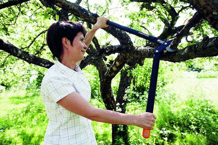 Nożyce ręczne Fiskars 1000584 69 cm