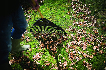 FISKARS Grabie do liści trawy SOLID XL lekkie 27 zębów 1015645 135090