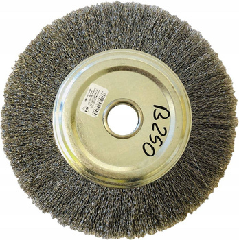 SZCZOTKA TARCZOWA FI 250